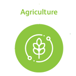 Agriculture