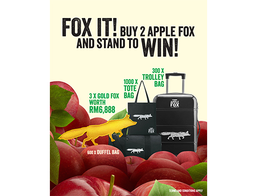 fox-box-2