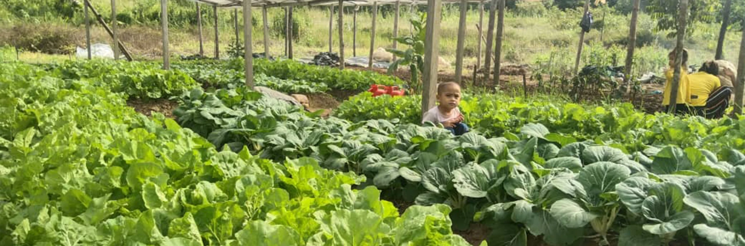 Food Security_Banner